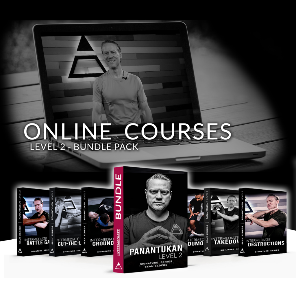 Online Courses Panantukan Level 2
