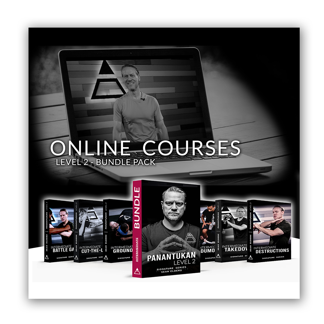 Panantukan Level 2 Onlline course ad